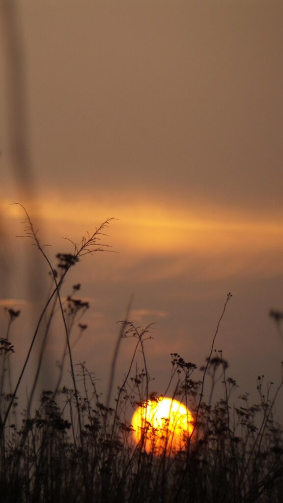 早朝に覚醒する原因とは何ですか？