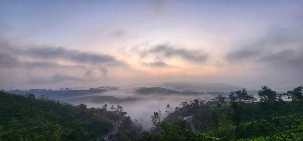 早朝覚醒の対策にはどんな方法があるの？