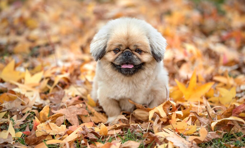 不眠サプリメントを効果的に活用する方法は？