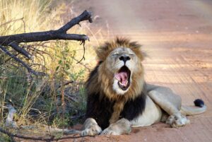 眠気を覚ます方法にはどんな効果的なテクニックがある？