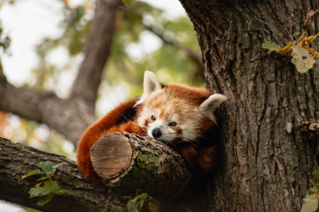 眠気を解消するためのストレッチ方法は？