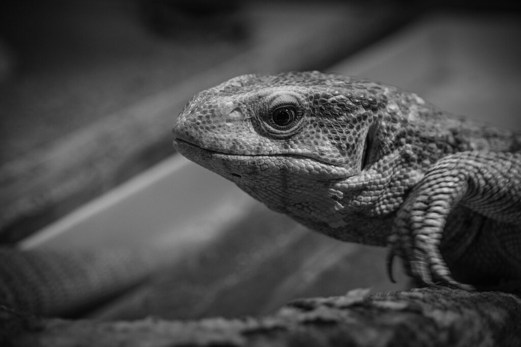 眠気を解消するための効果的なストレッチは？