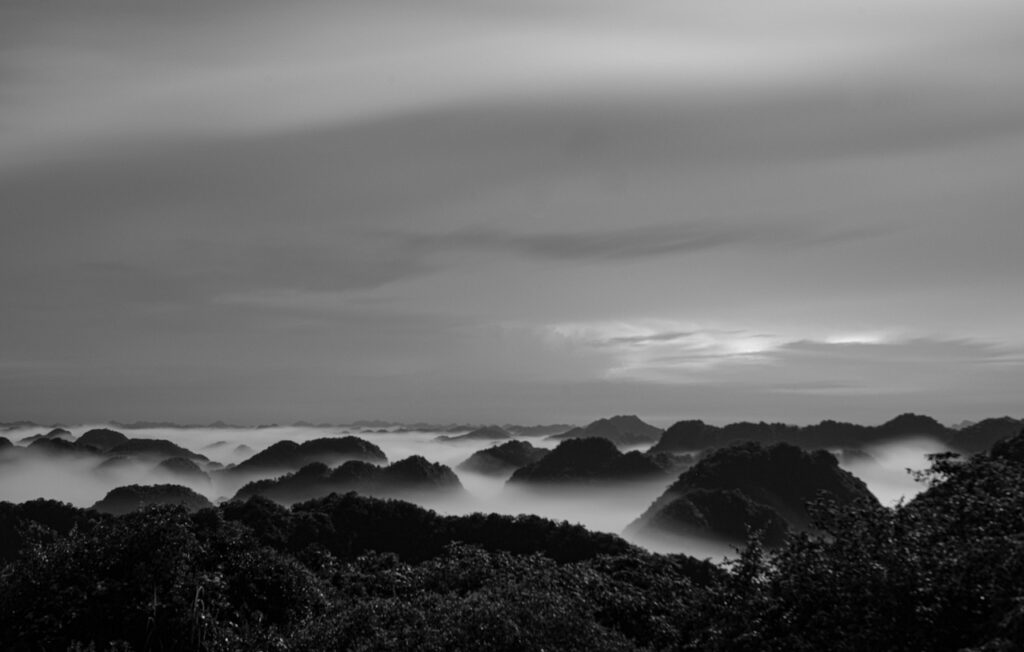 光過敏で寝られない原因は何ですか？