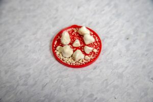 夜間頻尿と不眠の改善方法にはどんなものがある？