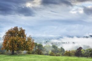 早朝覚醒を治す方法にはどんな選択肢があるの？