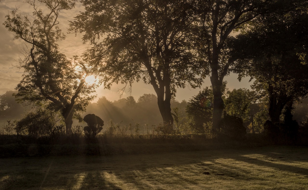 早朝覚醒はなぜ起きるのか、その原因と対策は？