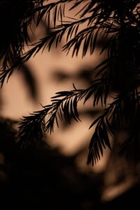 不眠症が原因で集中力低下を改善する方法は？