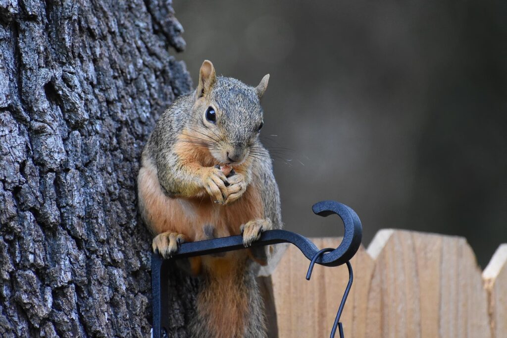不眠症は何日続くと心配すべきなのか？
