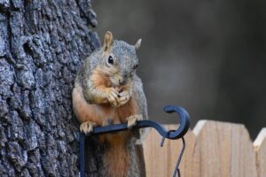 不眠症は何日続くと心配すべきなのか？