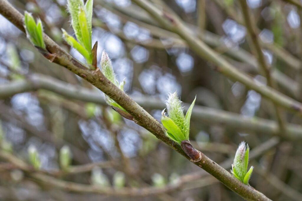 不眠症の原因となる生活習慣とは何か？
