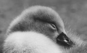 睡眠障害の原因は何？効果的な治し方を知りたいあなたへ！